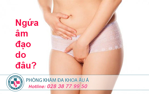 Đừng chủ quan với hiện tượng ngứa âm đạo