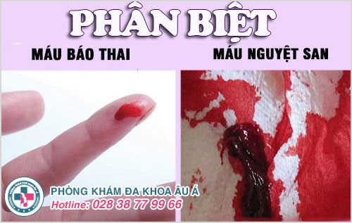 máu báo thai