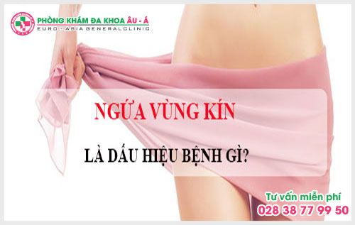 Ngứa vùng kín là dấu hiệu của bệnh gì?