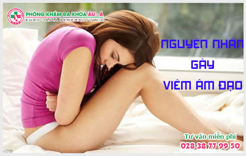 Nguyên Nhân Chính Gây Bệnh Viêm Âm Đạo