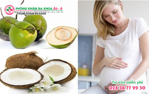 Uống Nước Dừa Có Phá Thai Được Không?