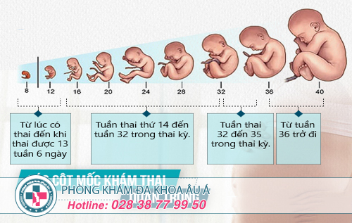 Siêu âm thai ở phòng khám nào?