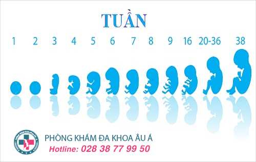 Khi nào là thời điểm phá thai an toàn?