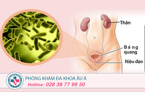 Tiểu đêm nhiều ở phụ nữ là dấu hiệu bệnh gì?