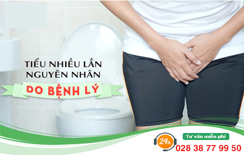 Tiểu nhiều ở nữ giới - triệu chứng bệnh gì?